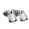 42602 NI