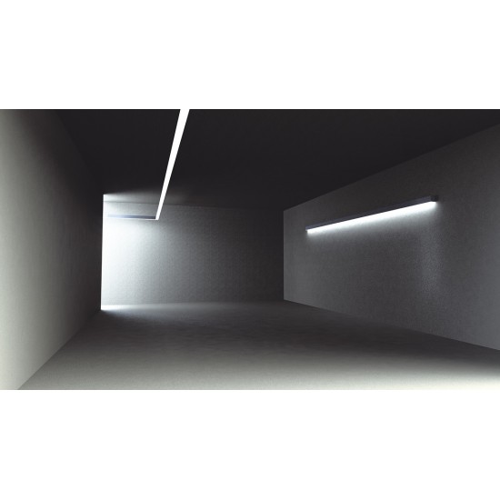 77692 BL